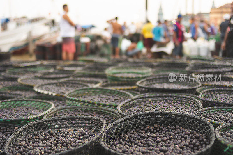 新鲜巴西莓水果在Feira do Açaí (Mercado vero -o- peso)， Belém do Pará出售